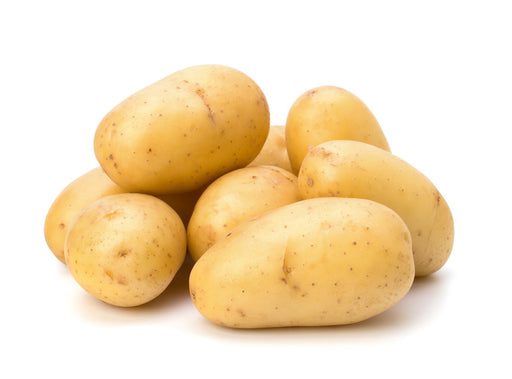Frisch - Bio Kartoffel 10kg