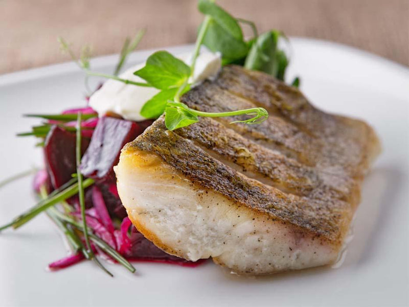 Tiefkühl - Zanderfilets