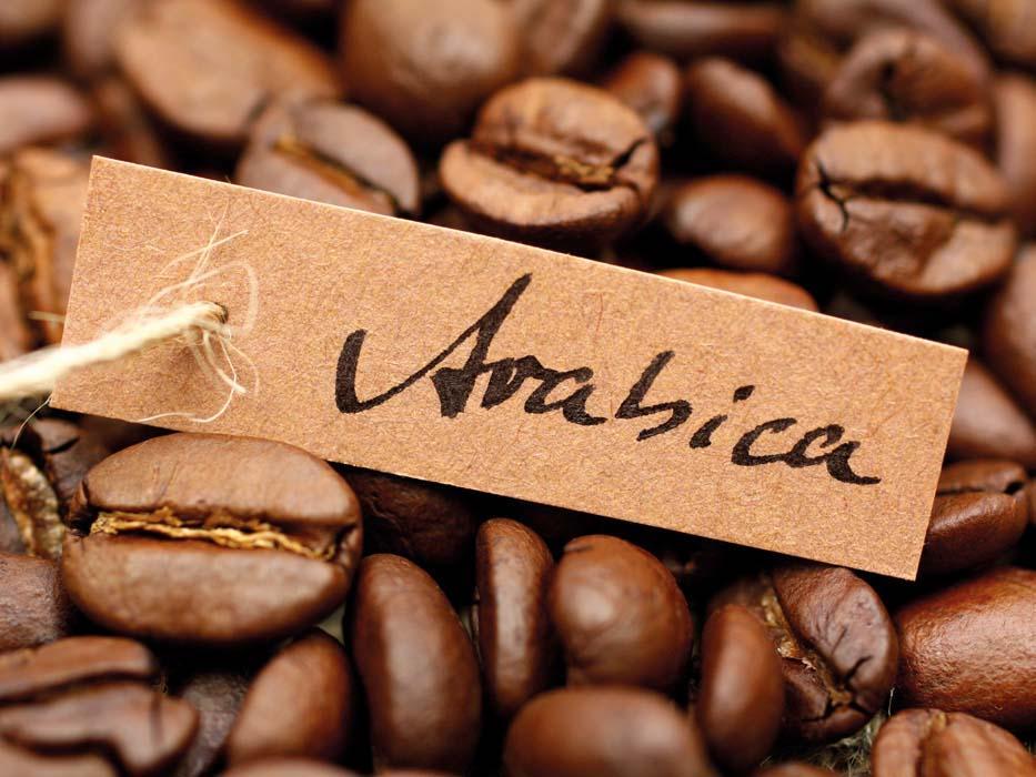 Trocken - Arabica Kaffee Bohnen