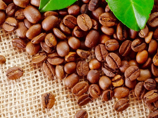 Trocken - Arabica Kaffee Bohnen